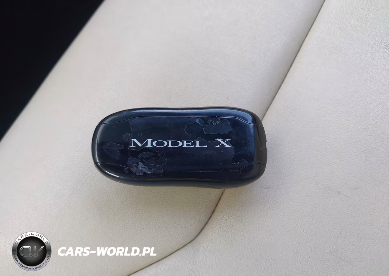 2019 Tesla Model X 100D-75D-Long Range VIN:5YJXCAE27KF213800 - 11