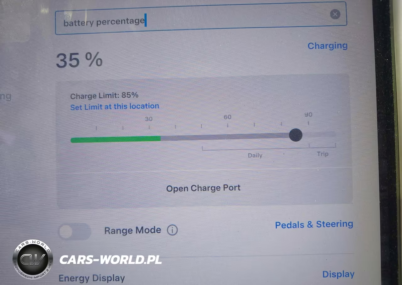 2019 Tesla Model X 100D-75D-Long Range VIN:5YJXCAE27KF213800 - 18
