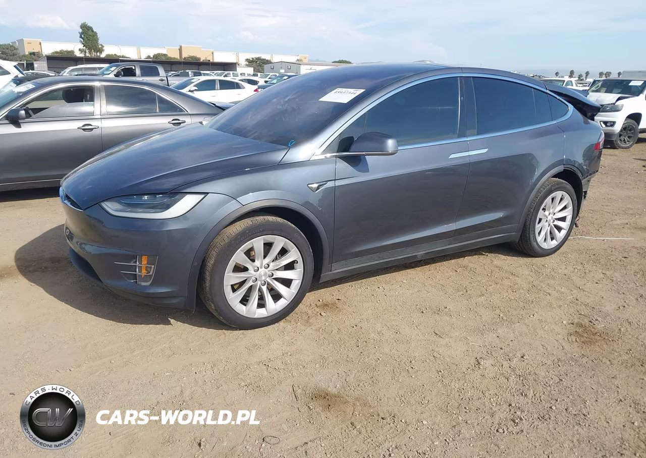2019 Tesla Model X 100D-75D-Long Range VIN:5YJXCAE27KF213800 - 2