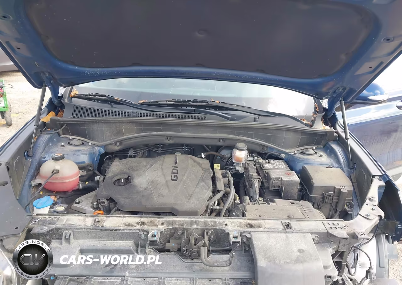 2023 Hyundai Santa Fe Sel VIN:5NMS24AJ3PH494978 - 10