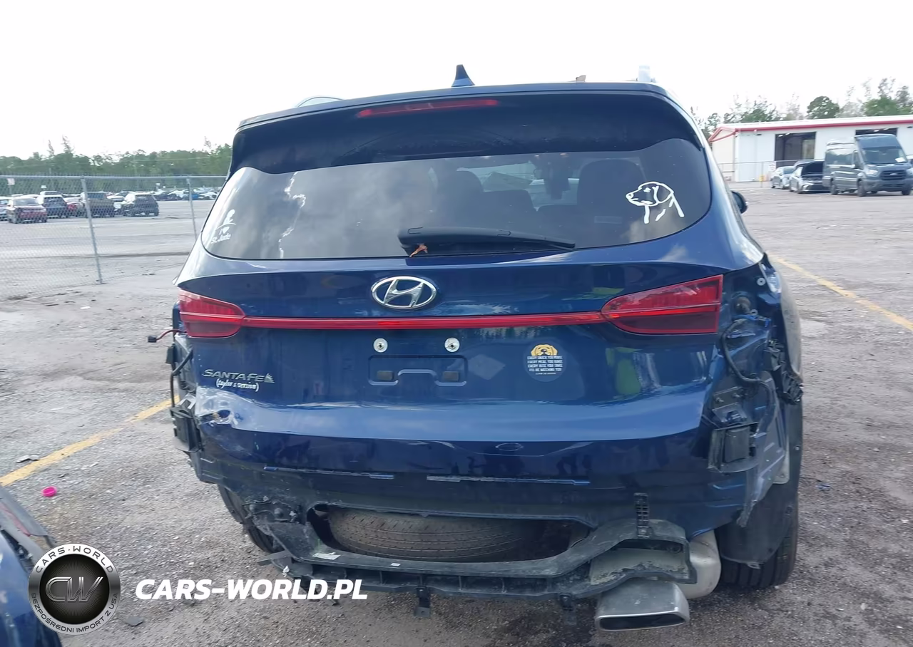 2023 Hyundai Santa Fe Sel VIN:5NMS24AJ3PH494978 - 17