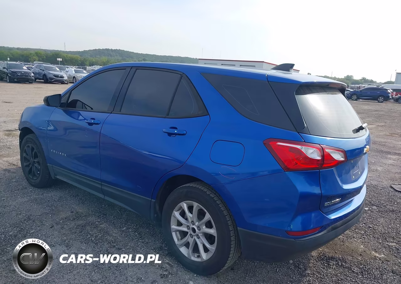 2019 Chevrolet Equinox Ls VIN:3GNAXHEV7KS608782 - 3