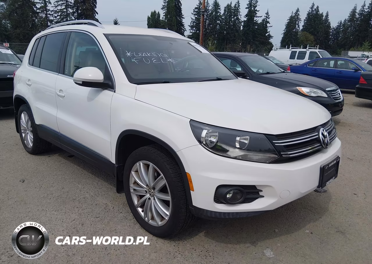 2013 Volkswagen Tiguan Se