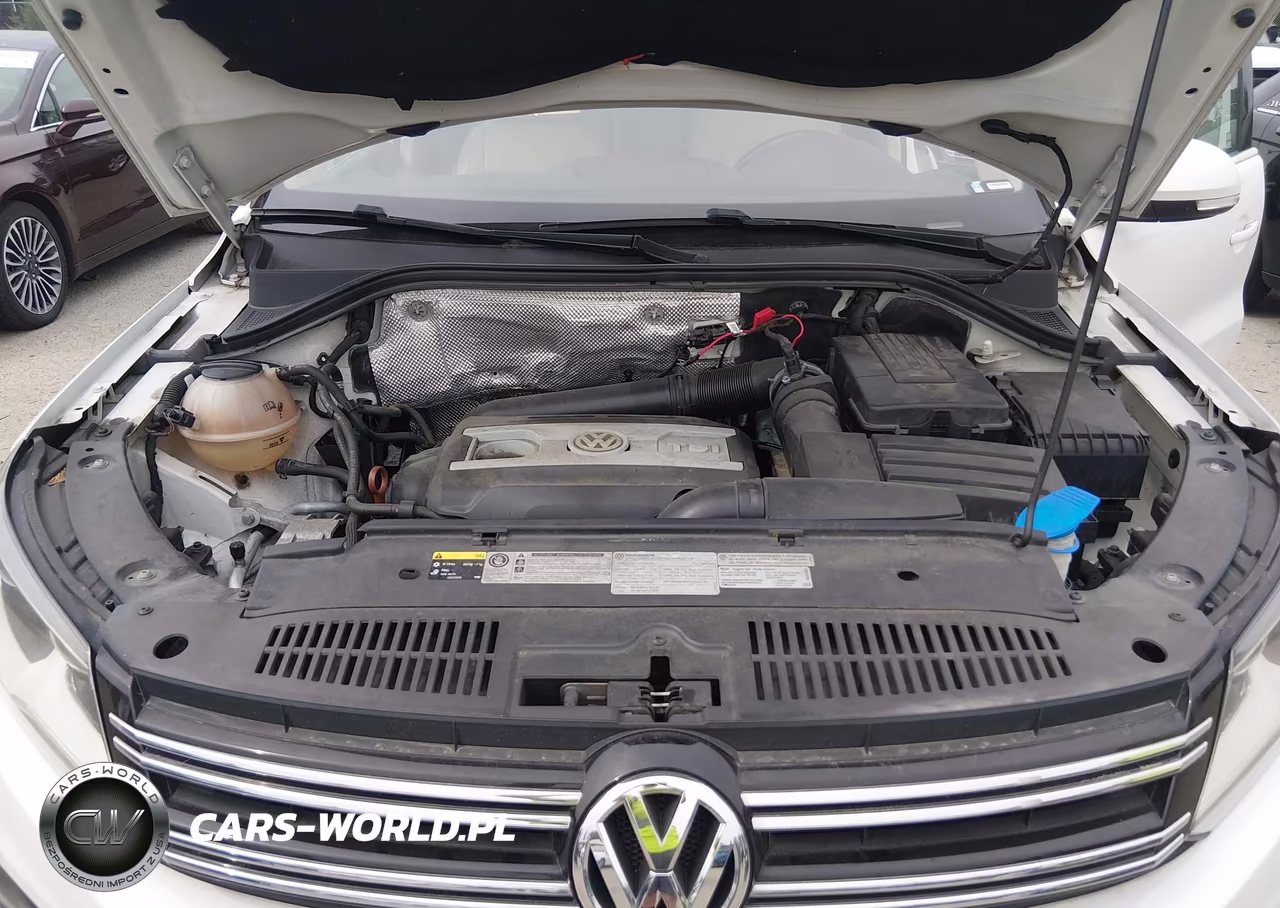 2013 Volkswagen Tiguan Se VIN:WVGBV3AX8DW564999 - 10