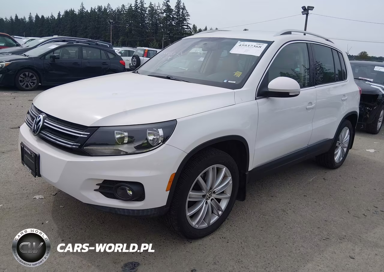 2013 Volkswagen Tiguan Se VIN:WVGBV3AX8DW564999 - 2