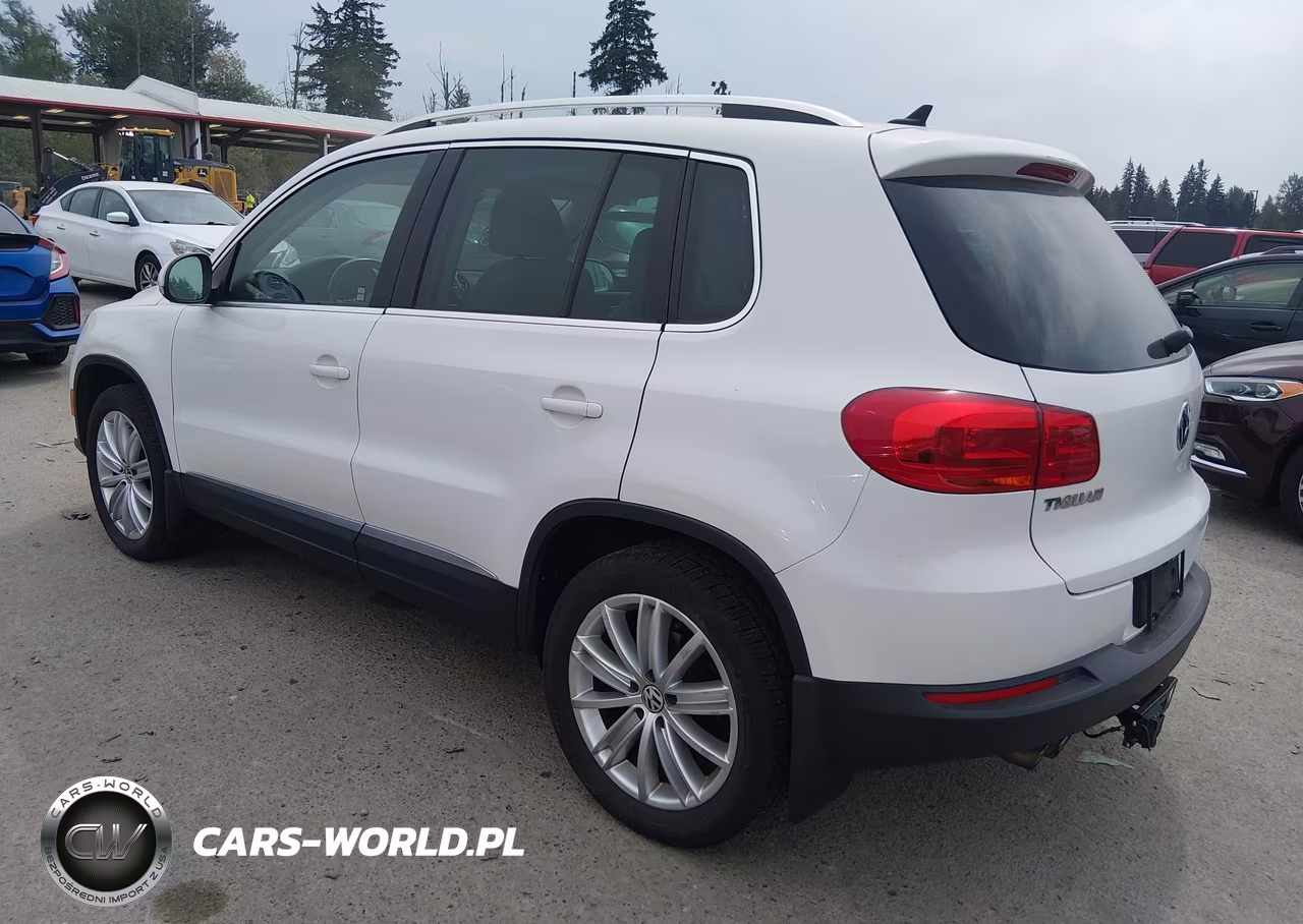 2013 Volkswagen Tiguan Se VIN:WVGBV3AX8DW564999 - 3