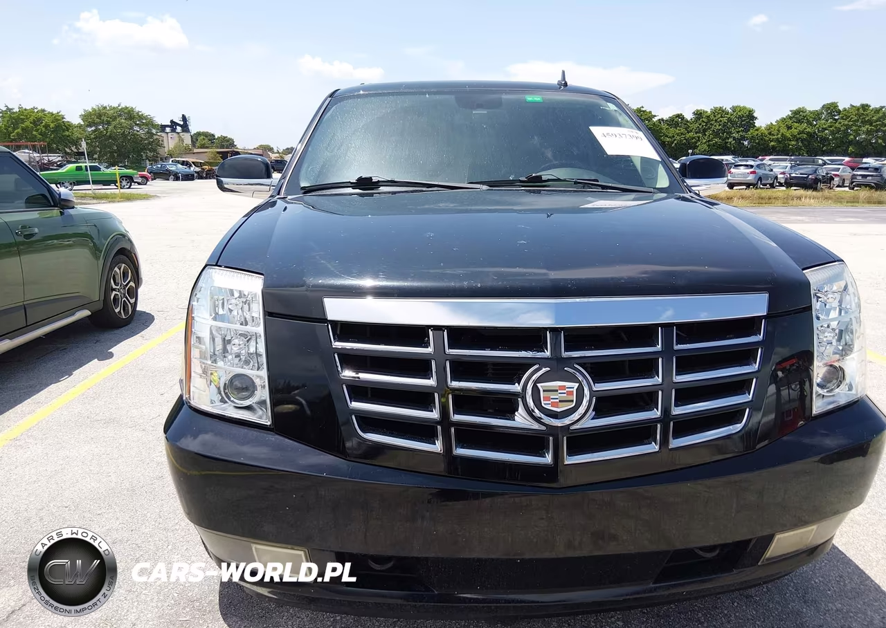 2010 Cadillac Escalade Premium VIN:1GYUCCEF9AR285389 - 12