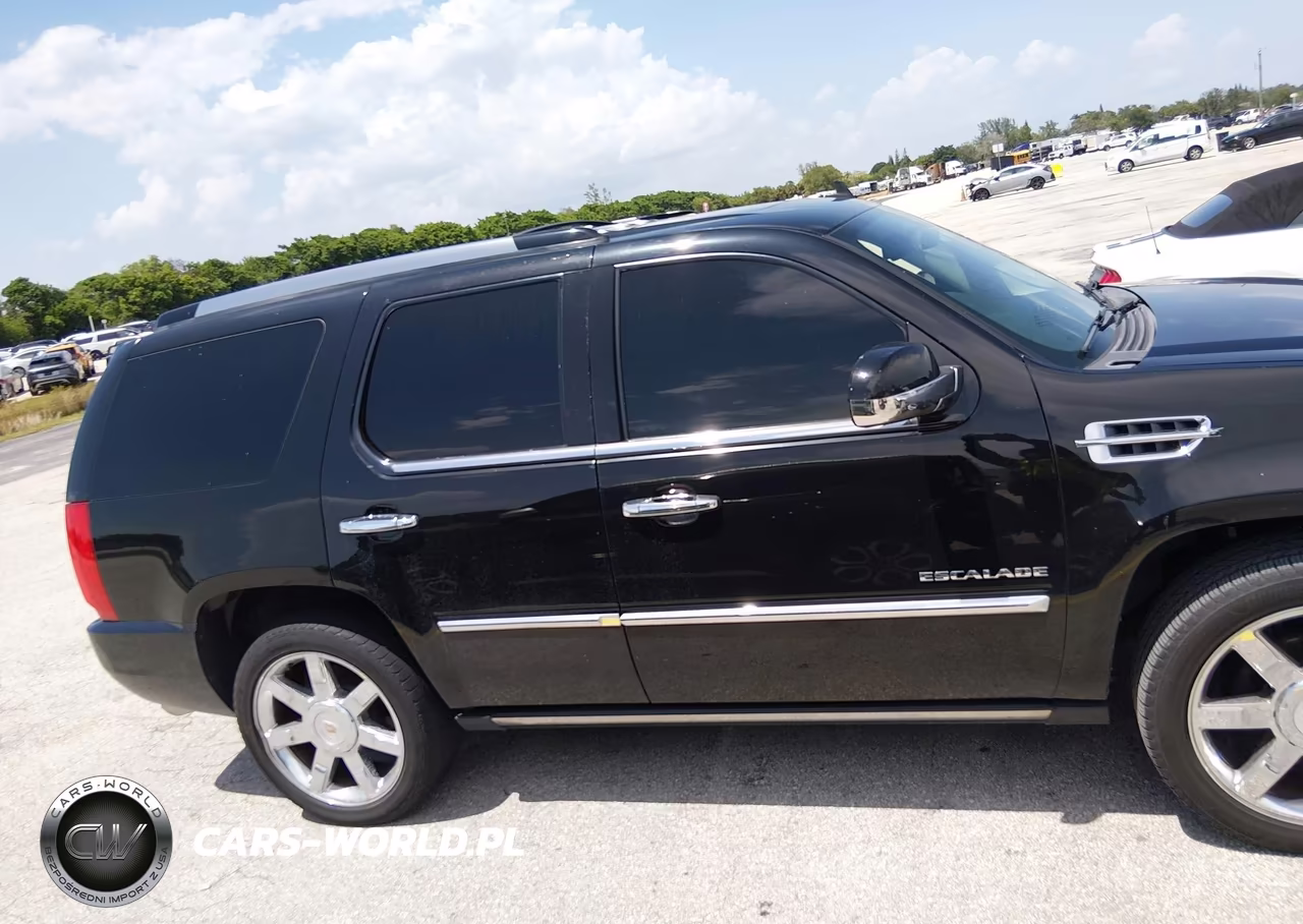 2010 Cadillac Escalade Premium VIN:1GYUCCEF9AR285389 - 13
