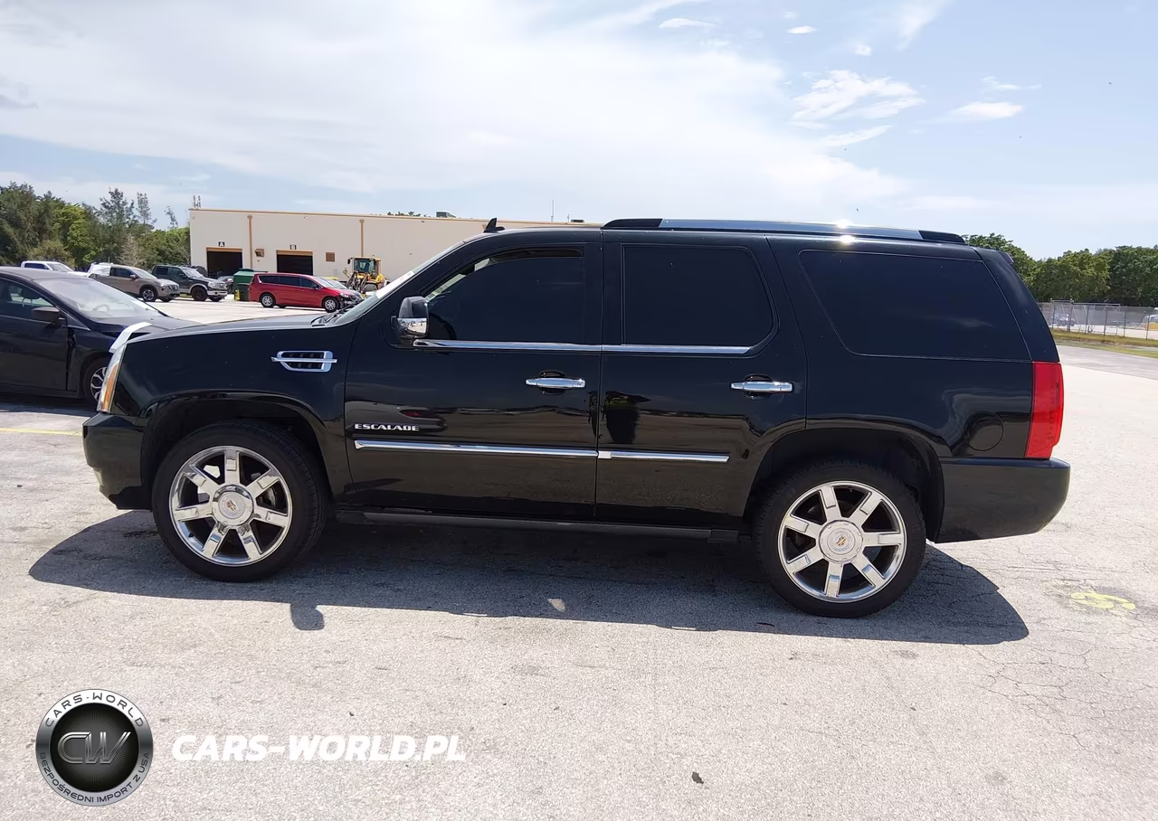 2010 Cadillac Escalade Premium VIN:1GYUCCEF9AR285389 - 14