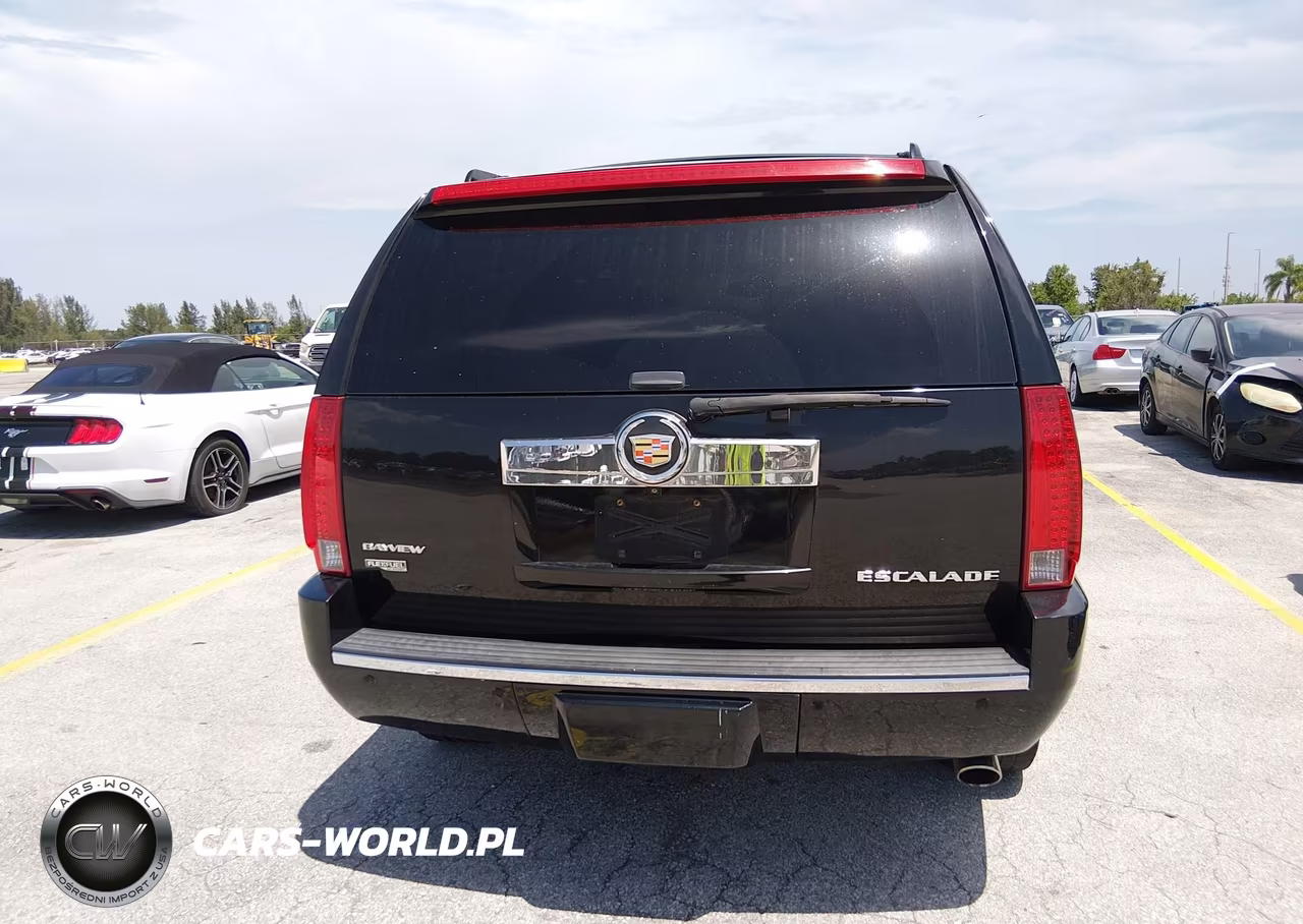 2010 Cadillac Escalade Premium VIN:1GYUCCEF9AR285389 - 16