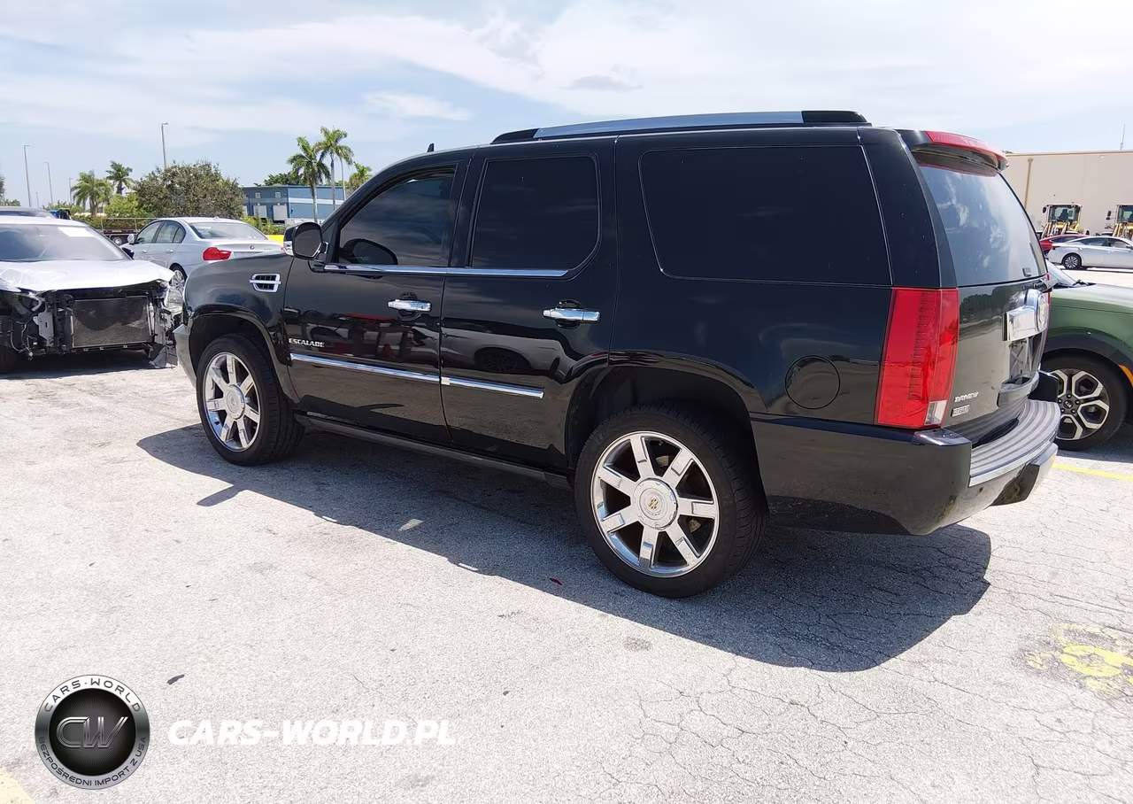 2010 Cadillac Escalade Premium VIN:1GYUCCEF9AR285389 - 3