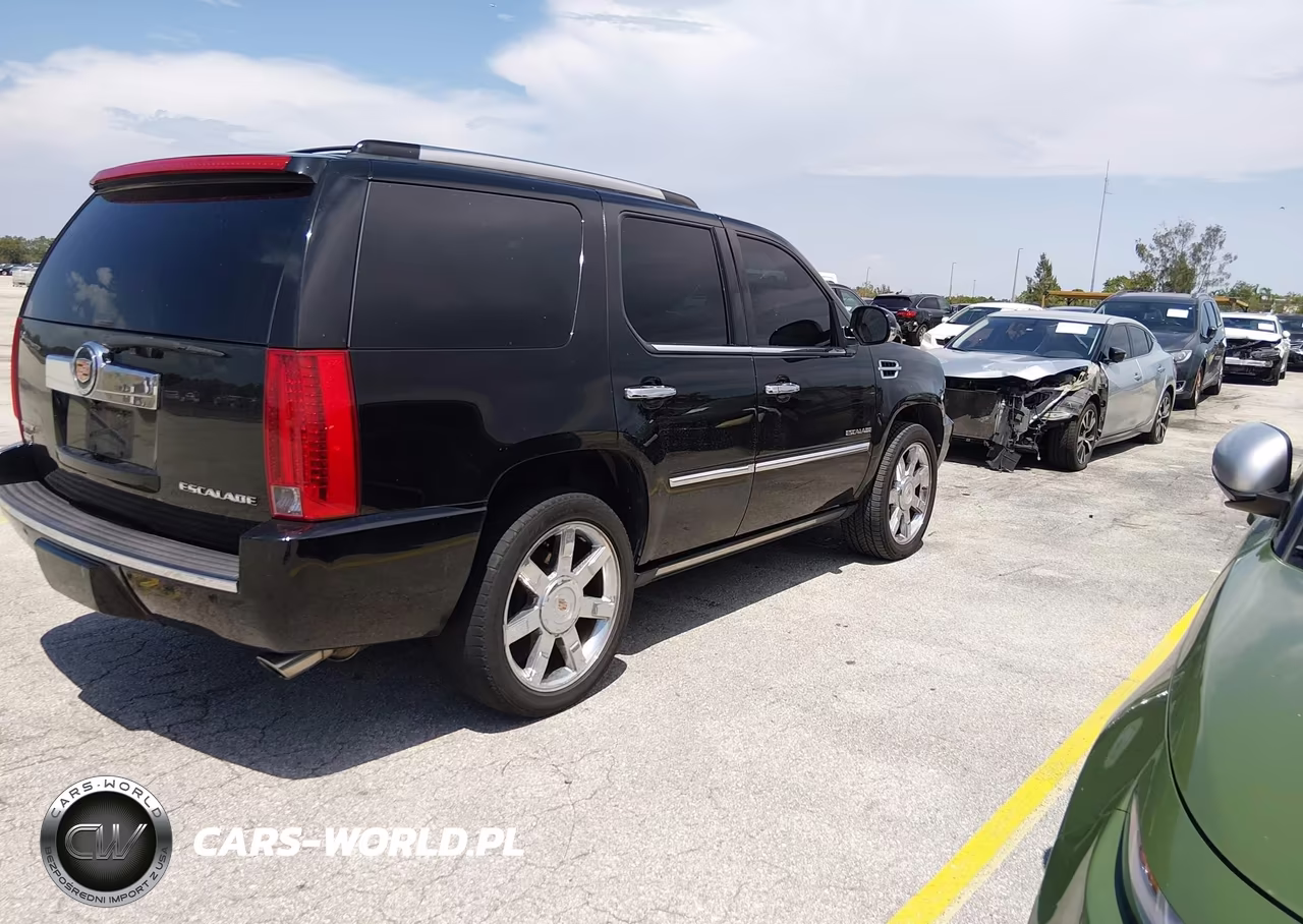 2010 Cadillac Escalade Premium VIN:1GYUCCEF9AR285389 - 4