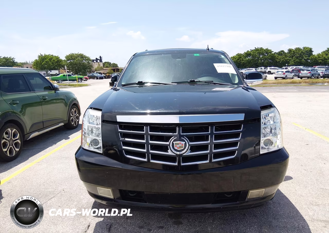 2010 Cadillac Escalade Premium VIN:1GYUCCEF9AR285389 - 6
