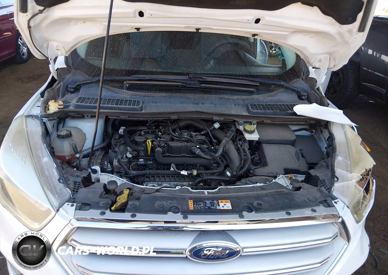 2019 Ford Escape Se VIN:1FMCU0GD6KUB04851 - 10