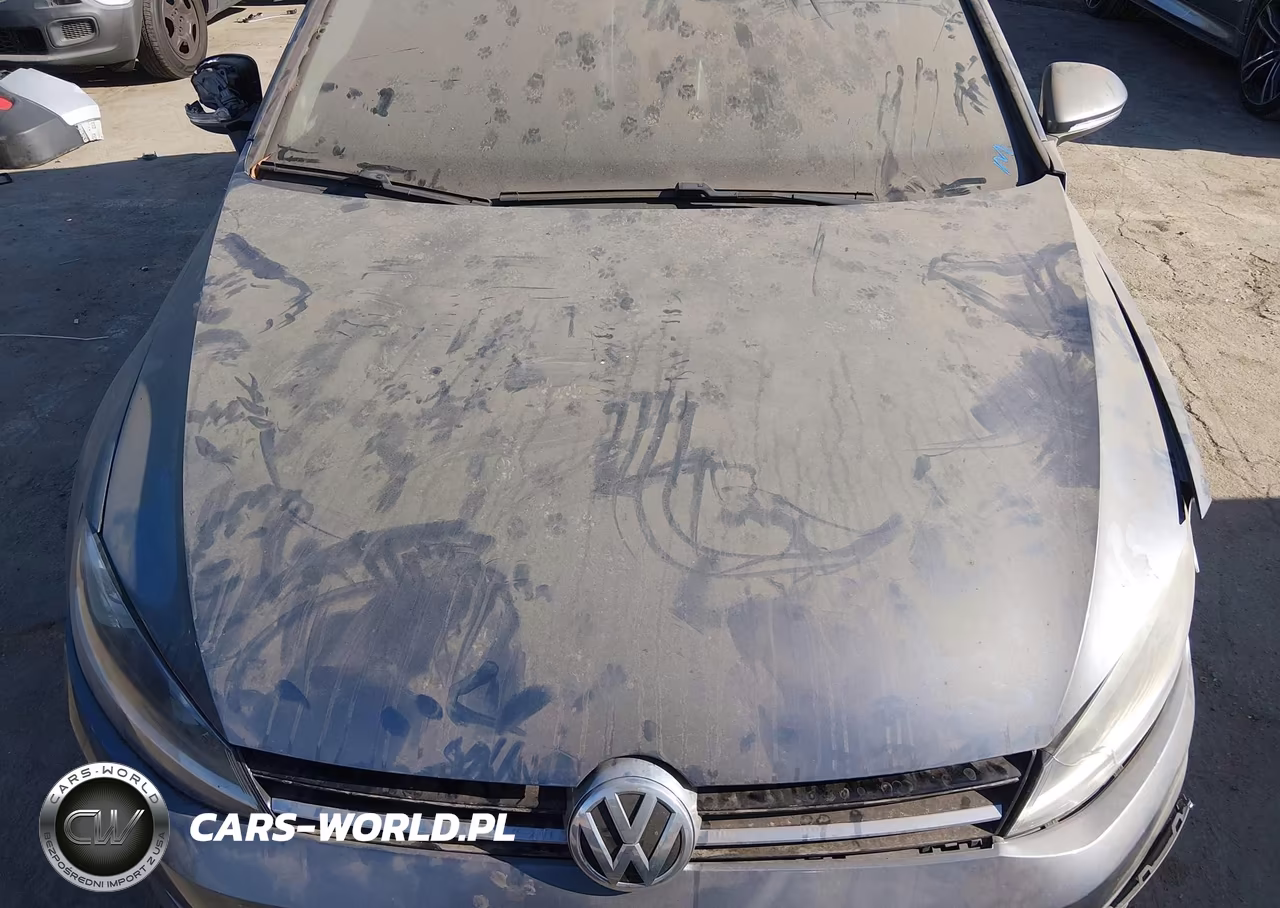 2015 Volkswagen Golf Tsi Sel 4-Door VIN:3VW217AU8FM083924 - 10