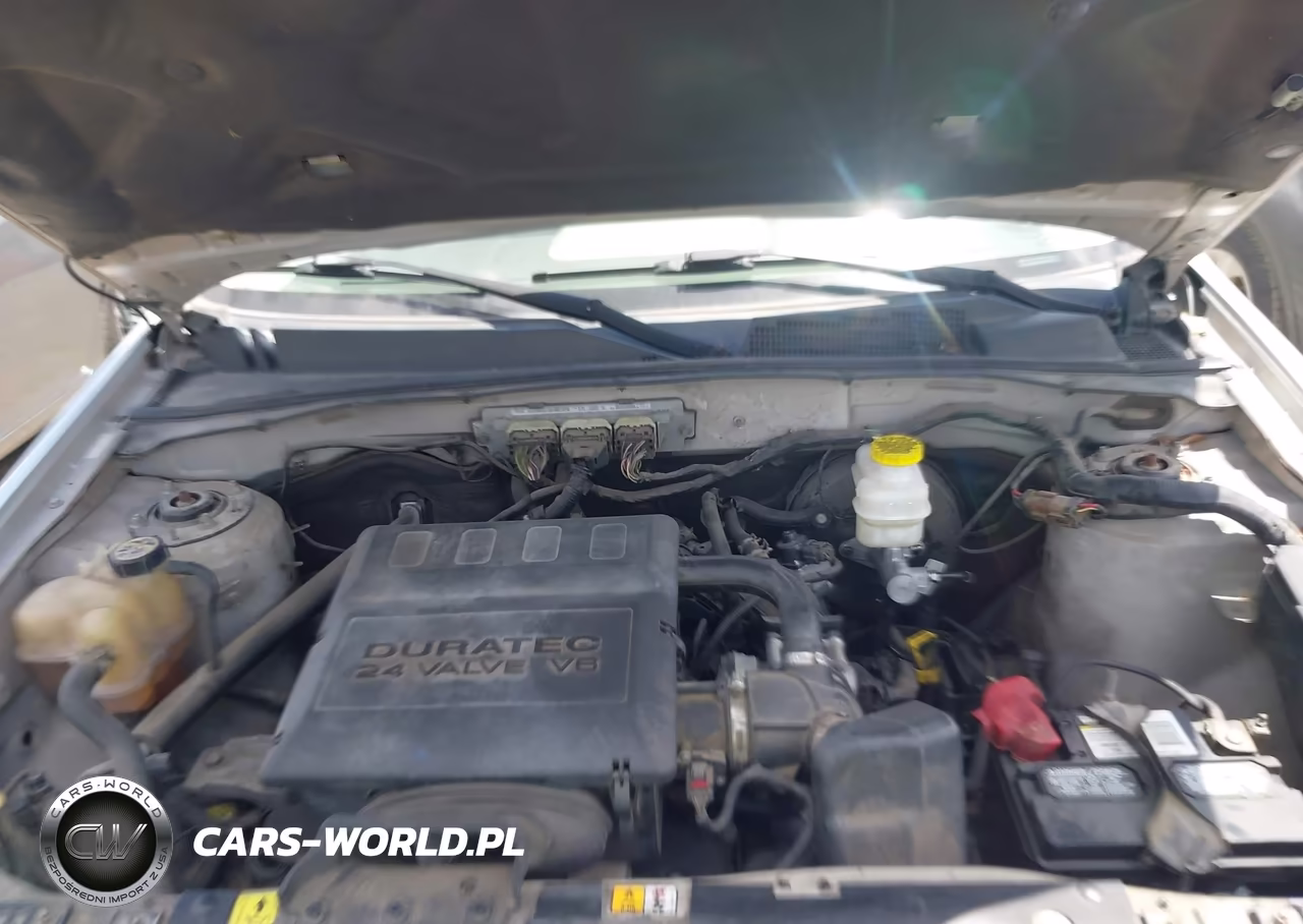 2009 Ford Escape Xlt VIN:1FMCU03G59KA30618 - 10
