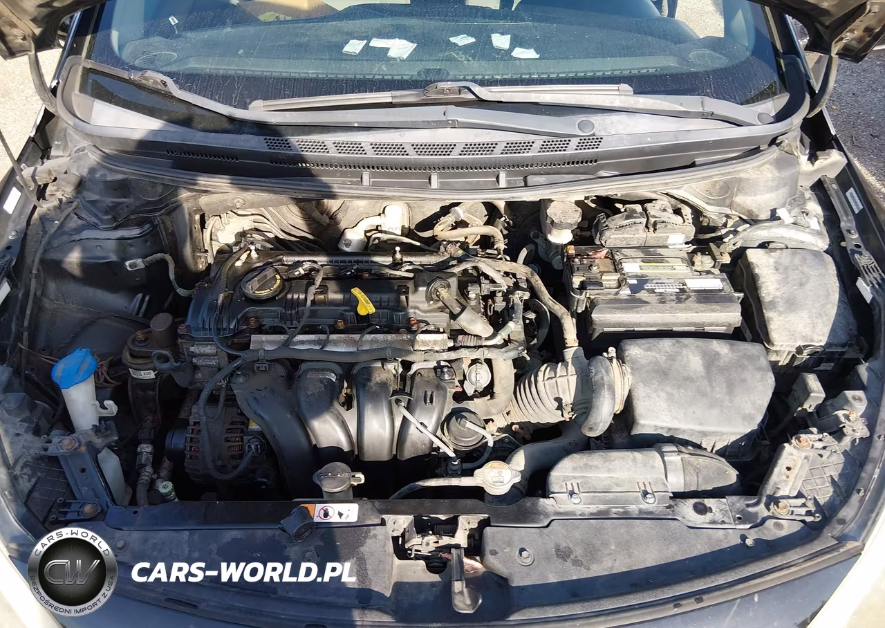 2015 Kia Forte Lx VIN:KNAFK4A61F5260866 - 10