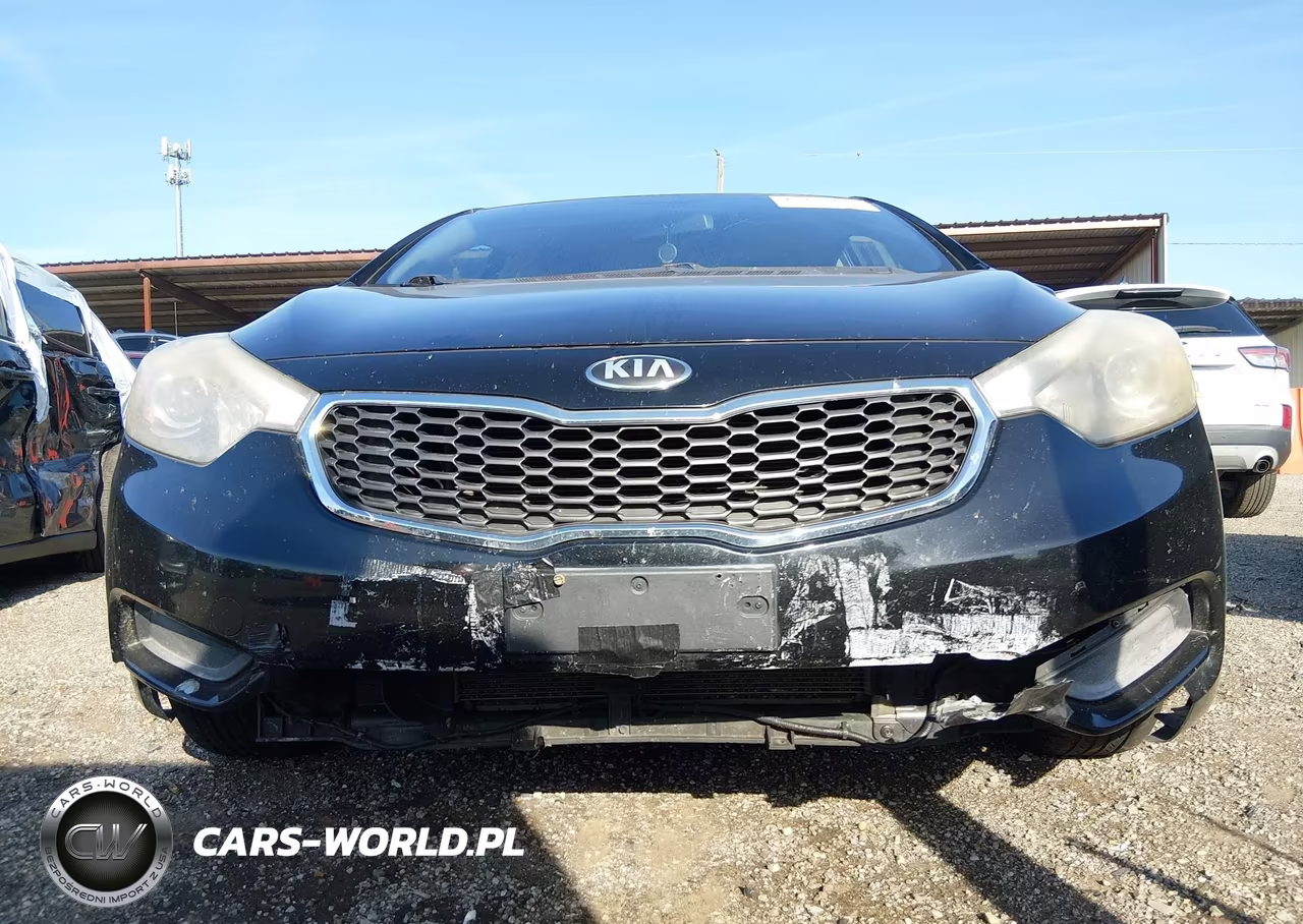 2015 Kia Forte Lx VIN:KNAFK4A61F5260866 - 12