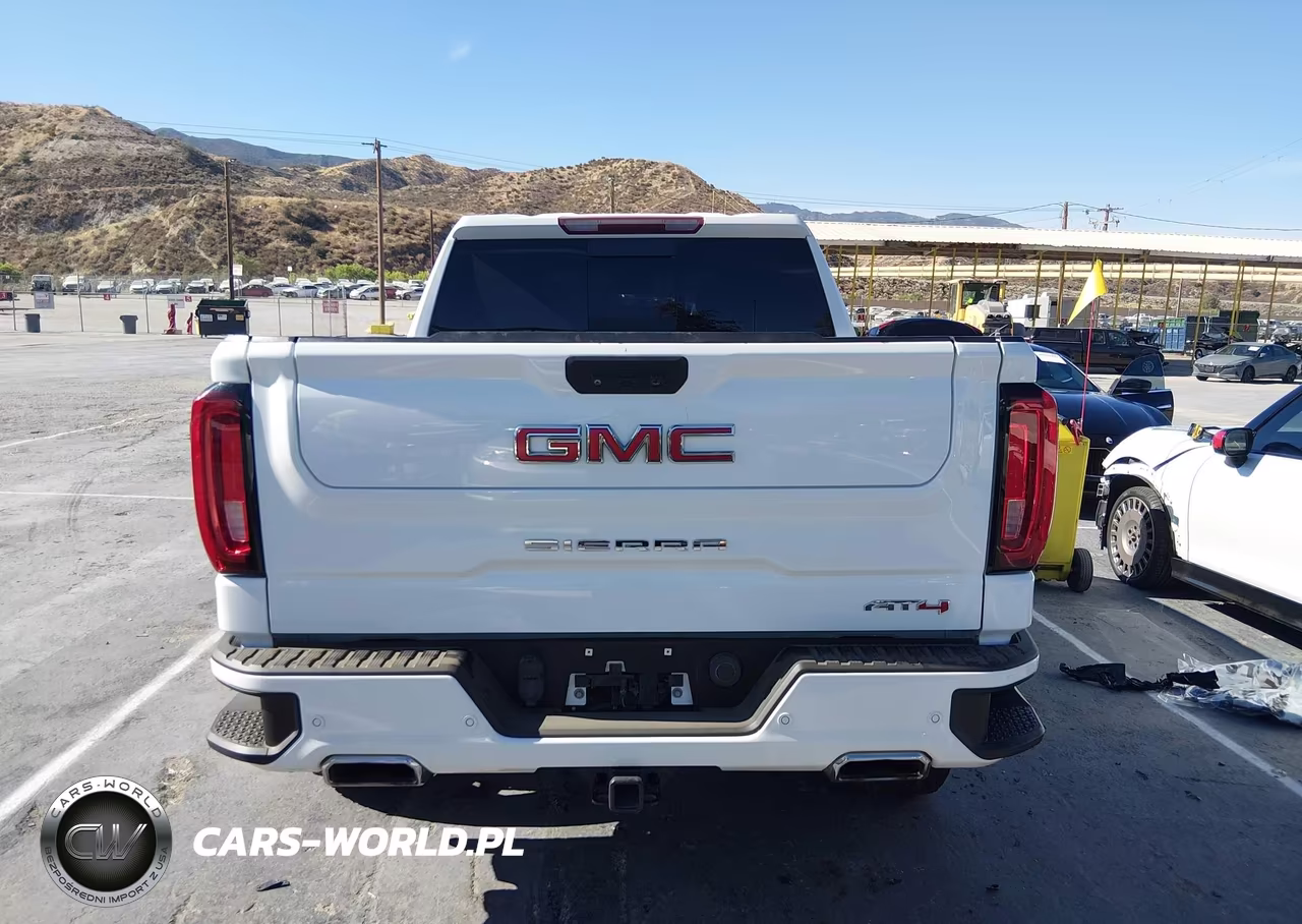 2020 GMC Sierra 1500 4Wd Short Box At4 VIN:3GTP9EEL5LG115410 - 17