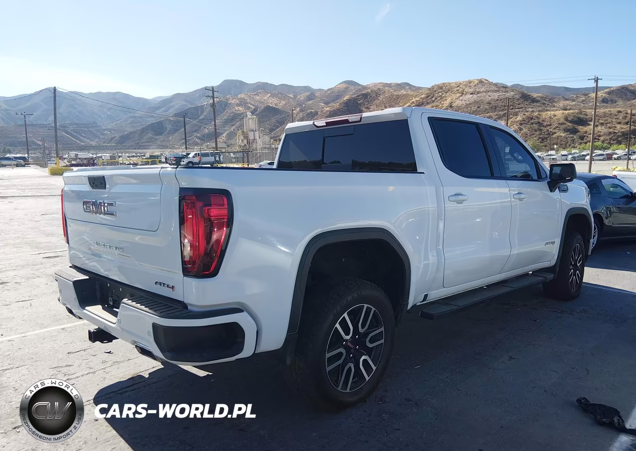 2020 GMC Sierra 1500 4Wd Short Box At4 VIN:3GTP9EEL5LG115410 - 4