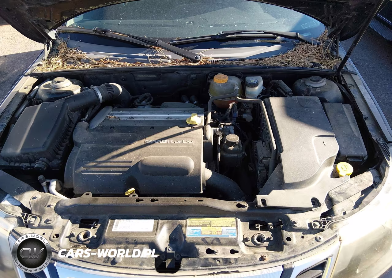2009 Saab 9-3 2.0T VIN:YS3FB49Y291019864 - 10