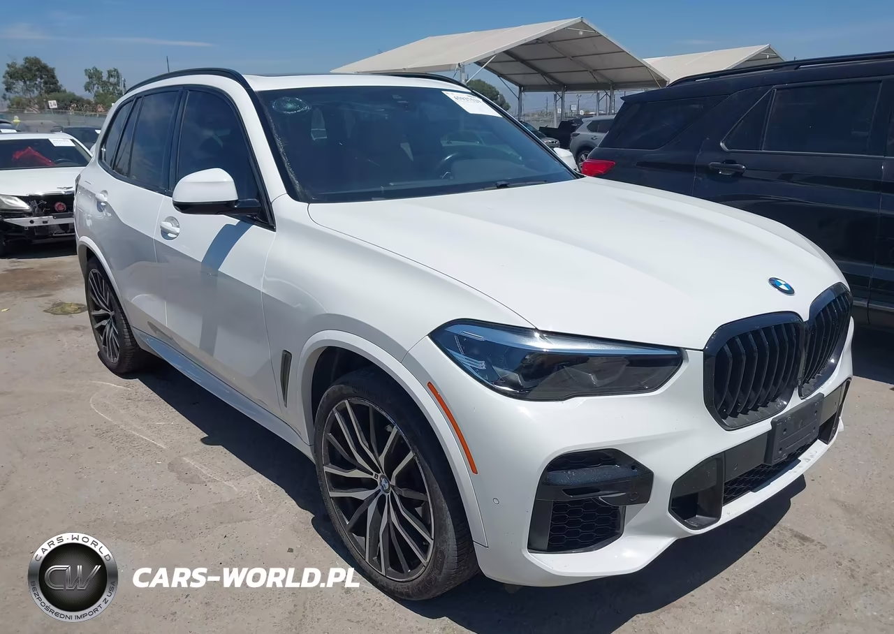 2022 BMW X5 Sdrive40I VIN:5UXCR4C04N9J13263 - 1