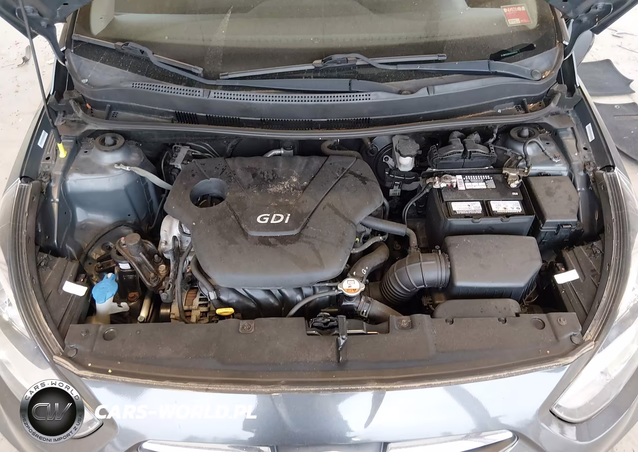 2013 Hyundai Accent Se VIN:KMHCU5AE4DU069048 - 10