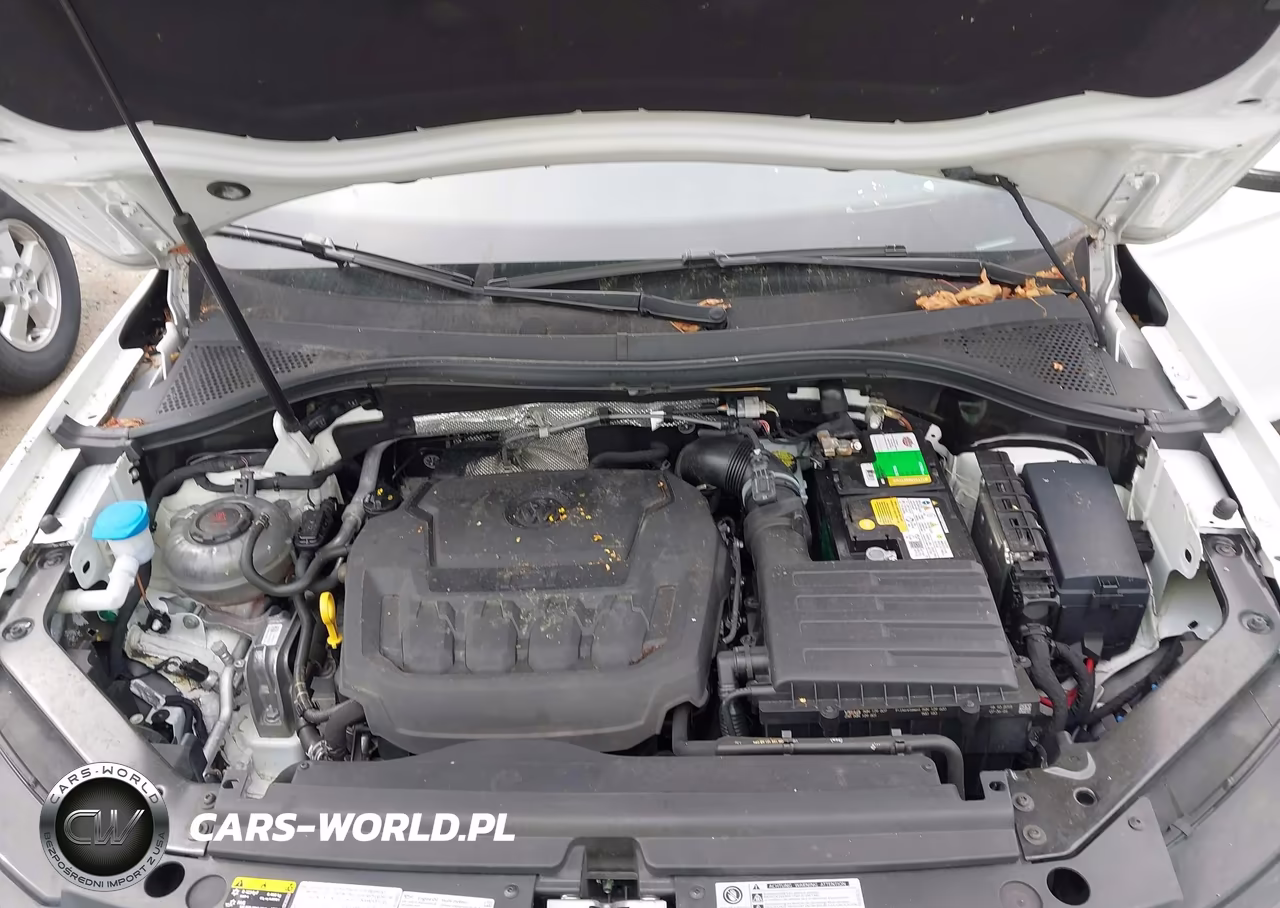 2019 Volkswagen Tiguan 2.0T Se-2.0T Sel-2.0T Sel R-Line-2.0T Sel R-Line Black VIN:3VV2B7AX4KM038968 - 10