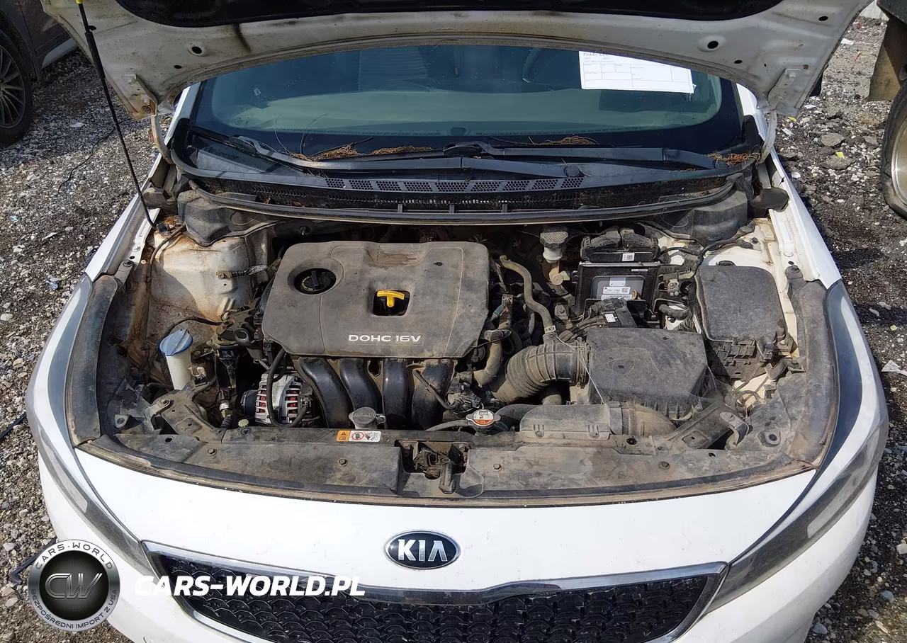 2017 Kia Forte Lx VIN:3KPFL4A72HE007233 - 10