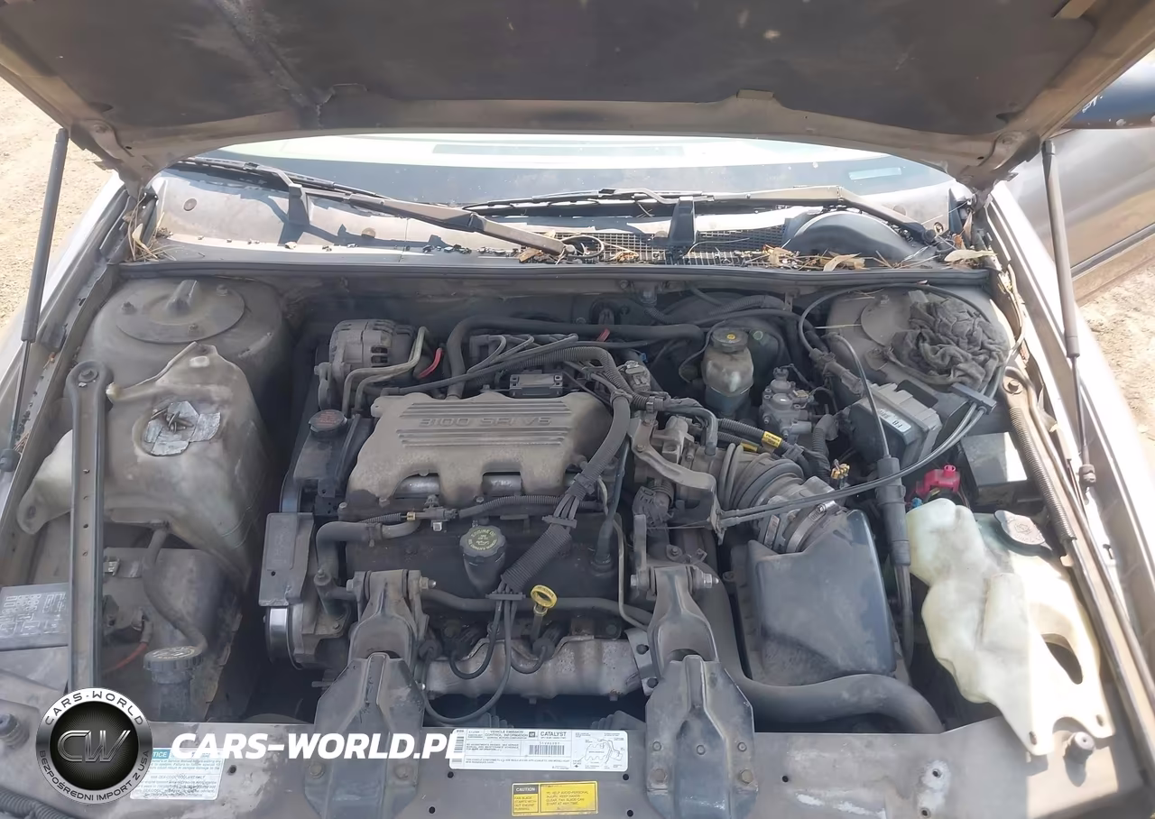 1999 Chevrolet Lumina Ls VIN:2G1WL52M8X9254997 - 10