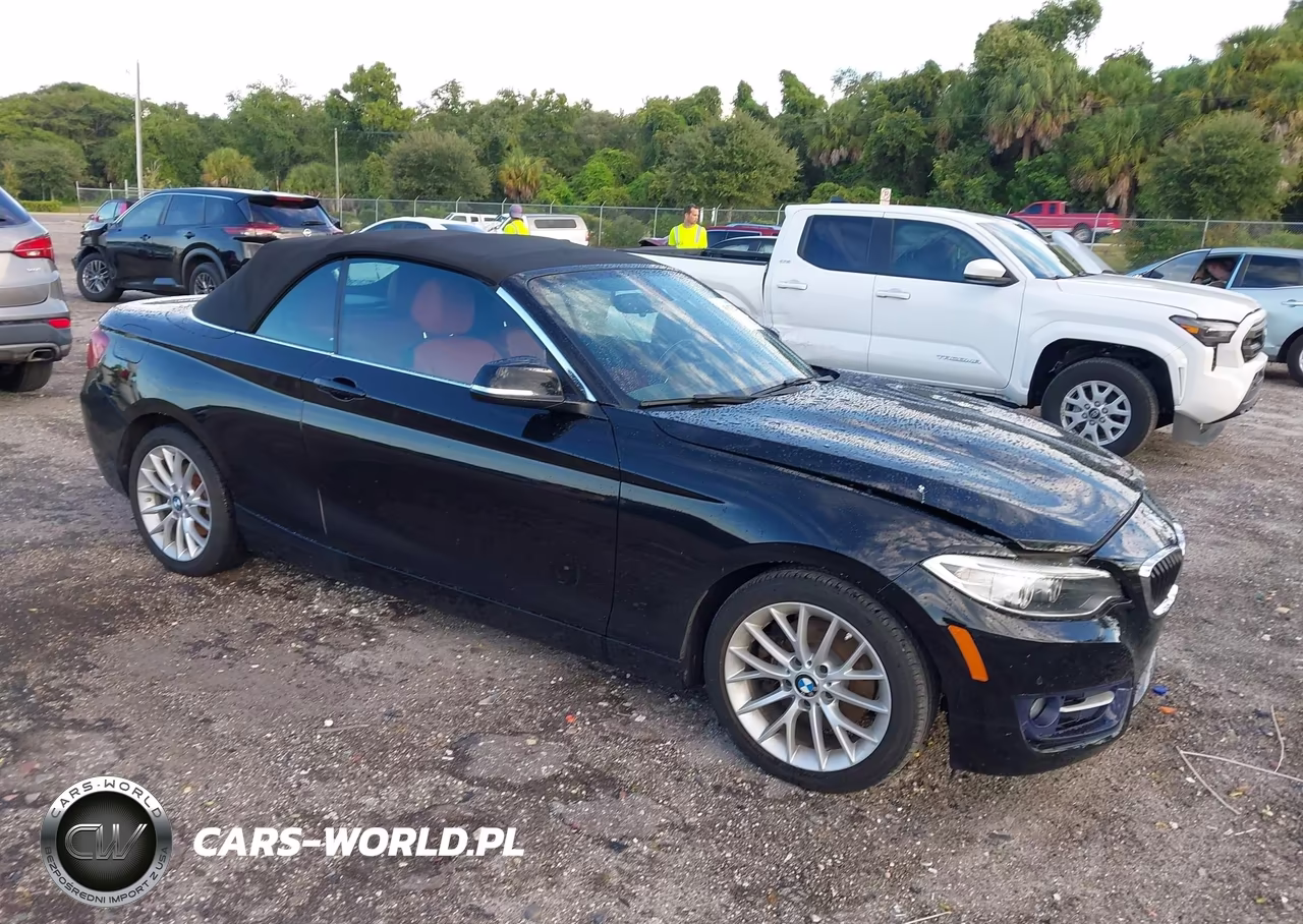 2016 BMW 228I