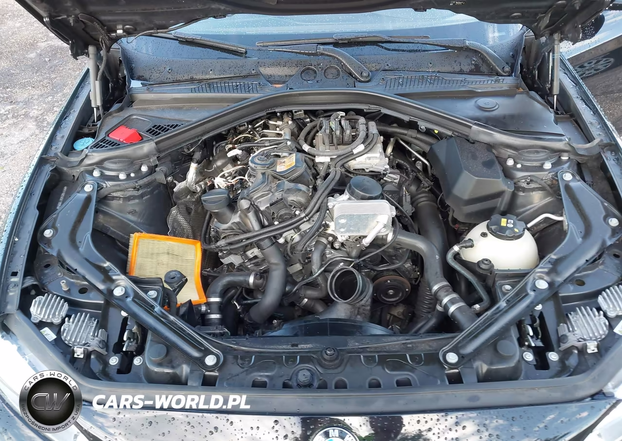 2016 BMW 228I VIN:WBA1K9C56GV710895 - 10