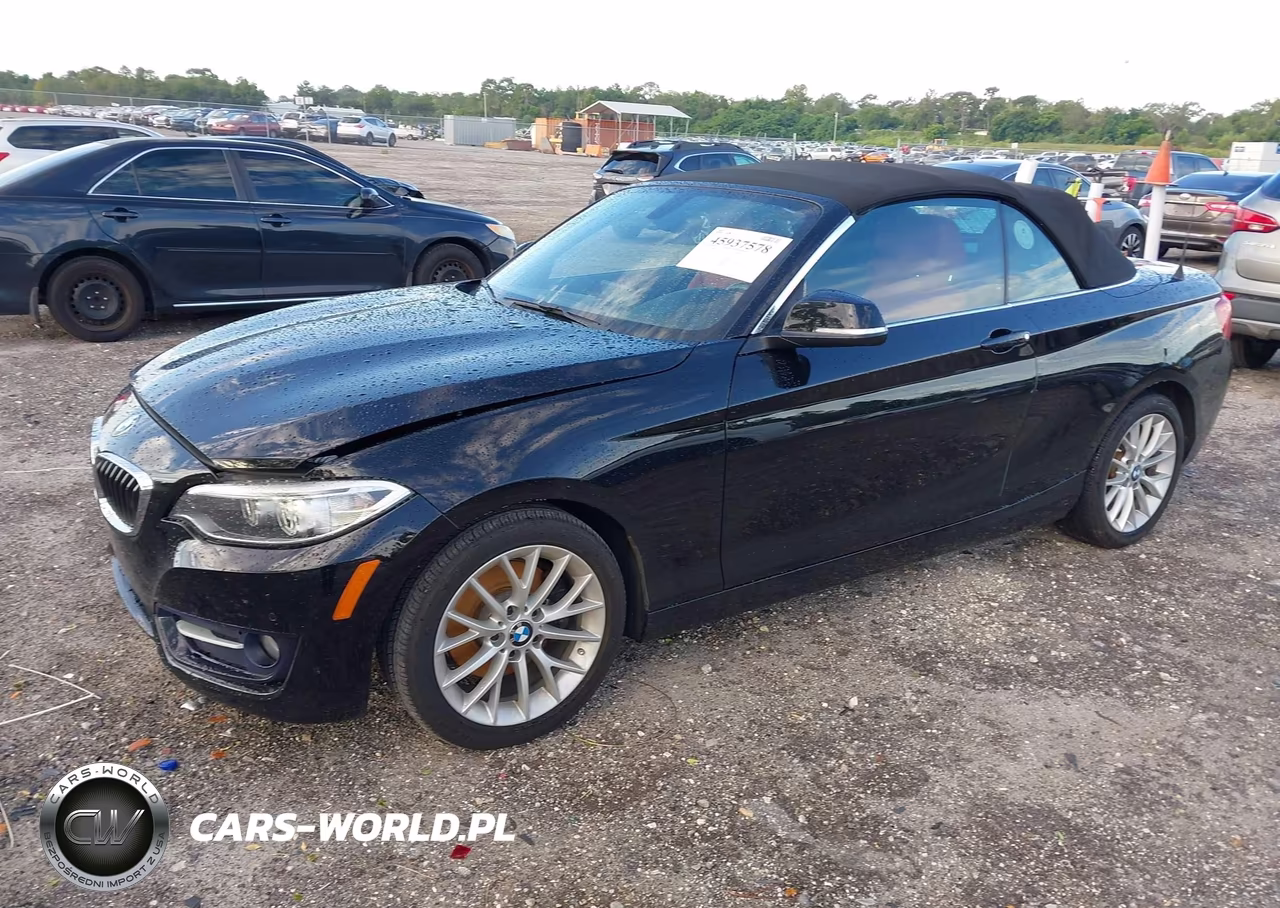 2016 BMW 228I VIN:WBA1K9C56GV710895 - 2