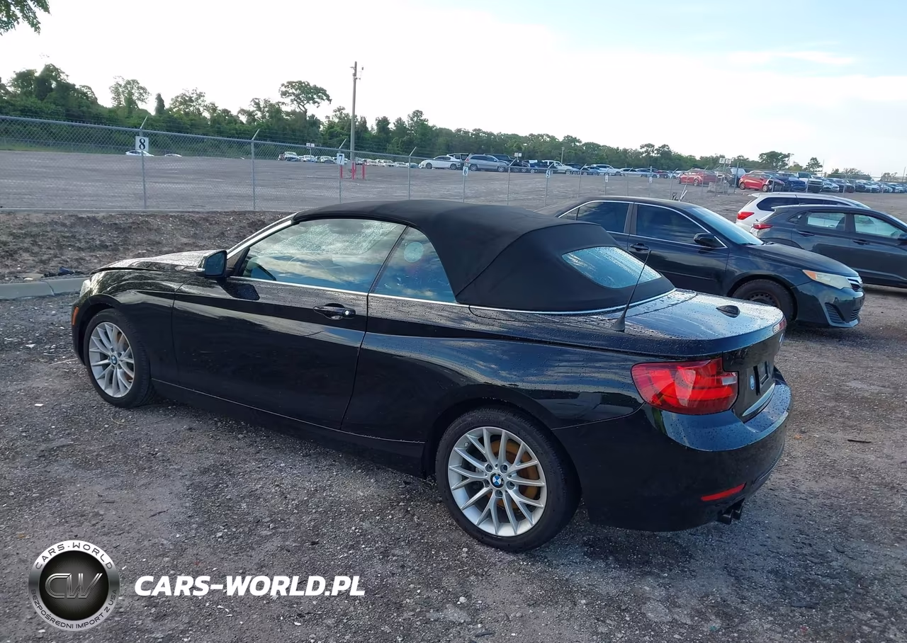 2016 BMW 228I VIN:WBA1K9C56GV710895 - 3