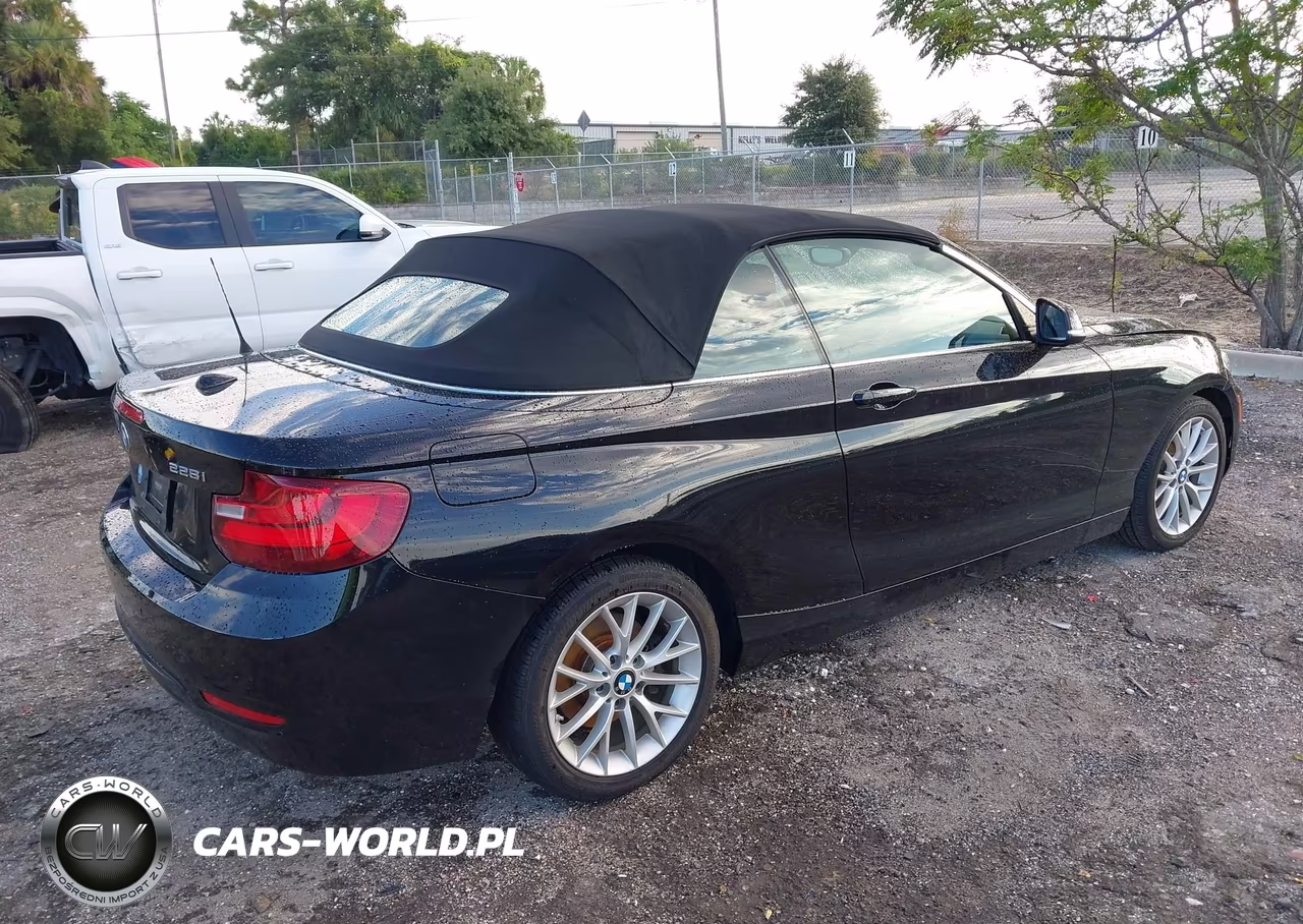 2016 BMW 228I VIN:WBA1K9C56GV710895 - 4