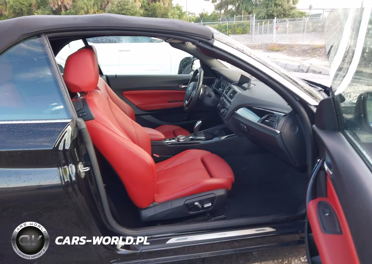 2016 BMW 228I VIN:WBA1K9C56GV710895 - 5