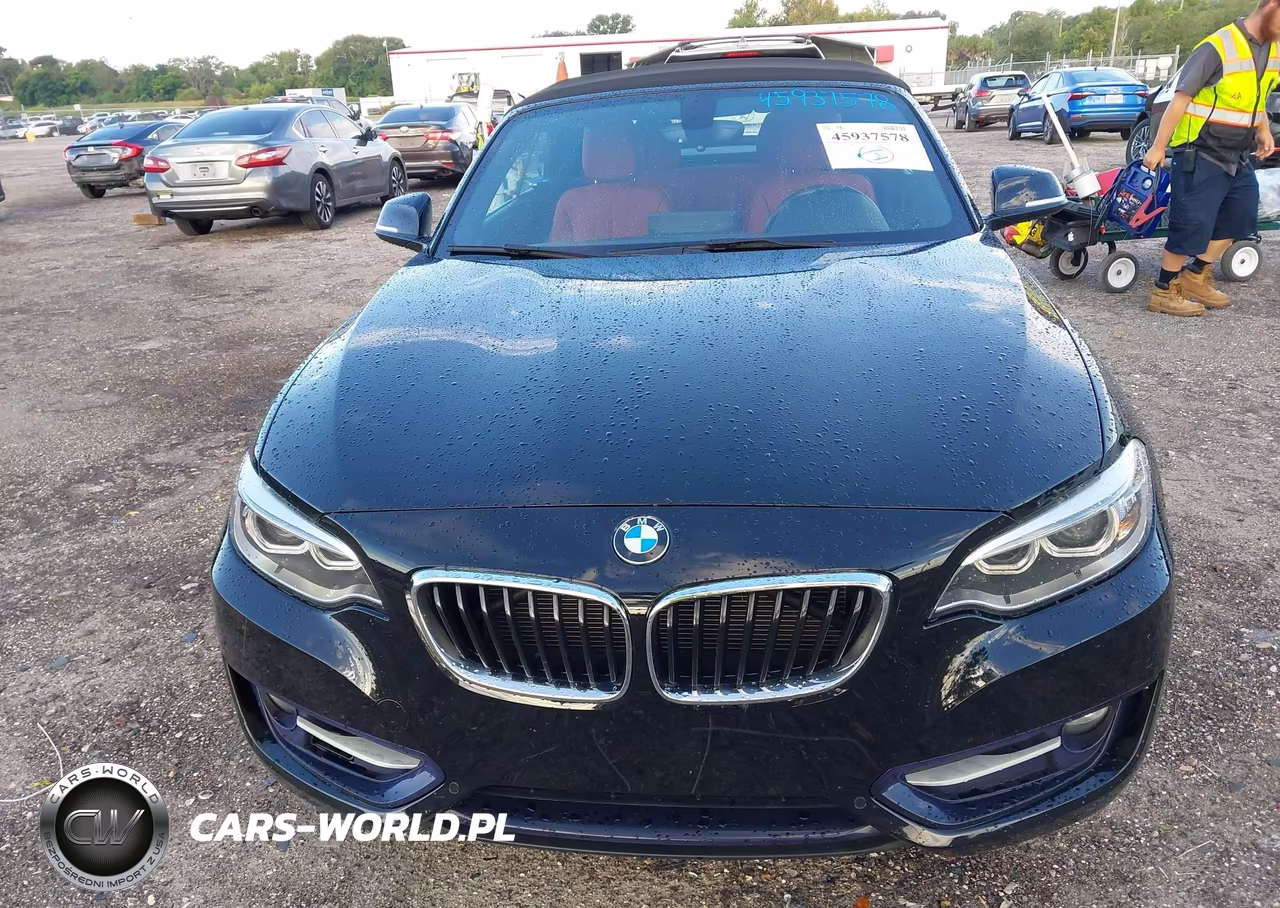 2016 BMW 228I VIN:WBA1K9C56GV710895 - 6