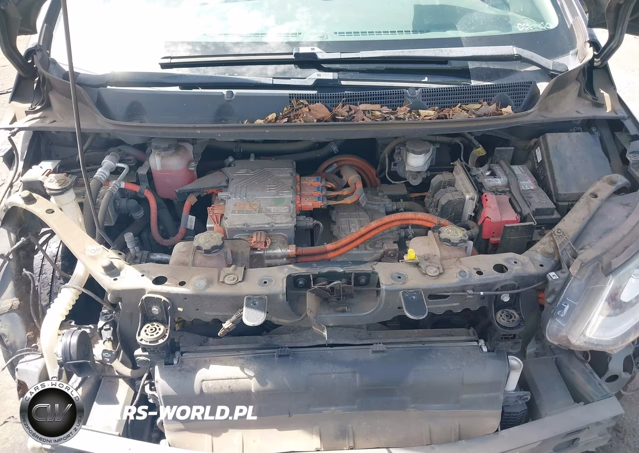 2019 Chevrolet Bolt Ev Lt VIN:1G1FY6S00K4118489 - 10