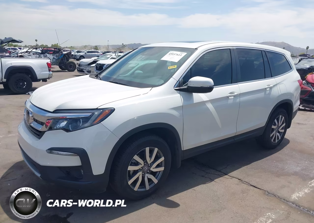 2019 Honda Pilot Ex-L VIN:5FNYF6H56KB048823 - 2