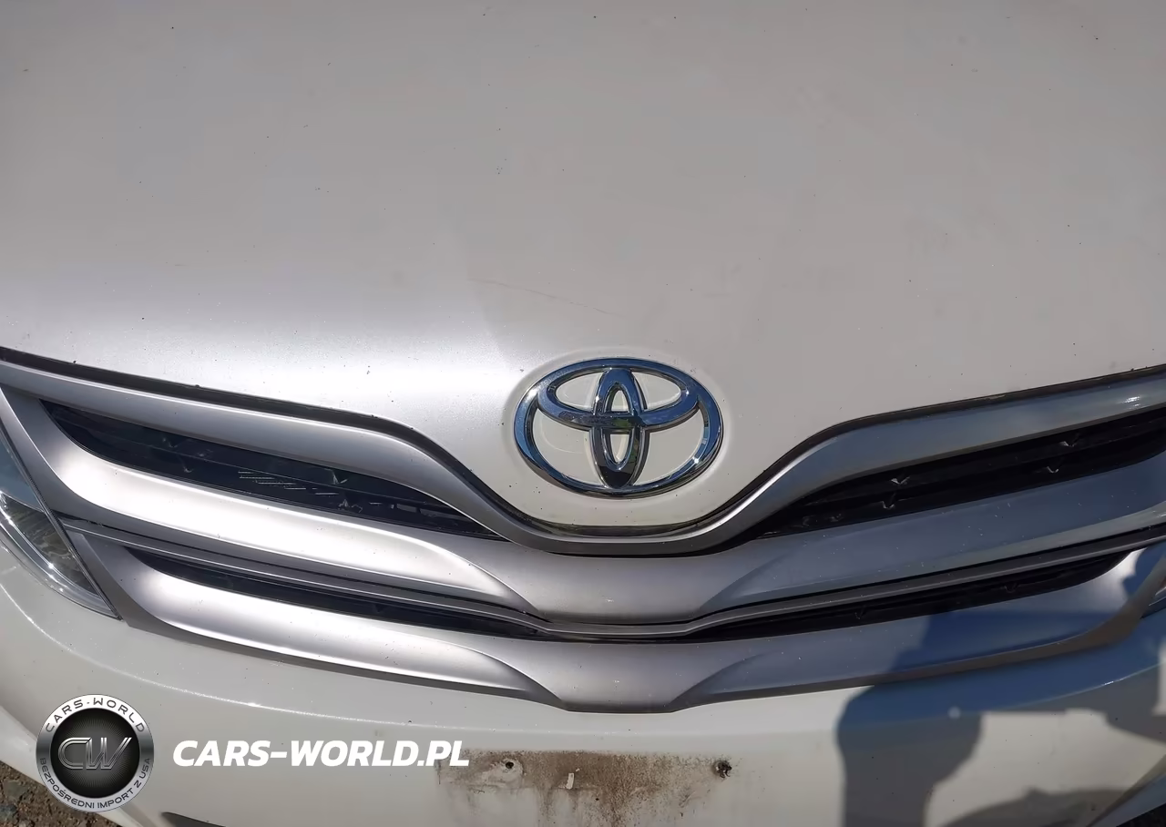 2013 Toyota Venza Xle VIN:4T3BA3BB3DU049832 - 10
