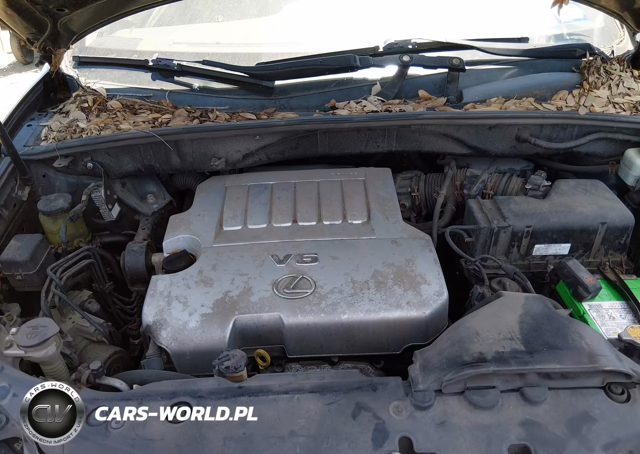 2009 Lexus Rx 350 VIN:2T2HK31U69C099857 - 10