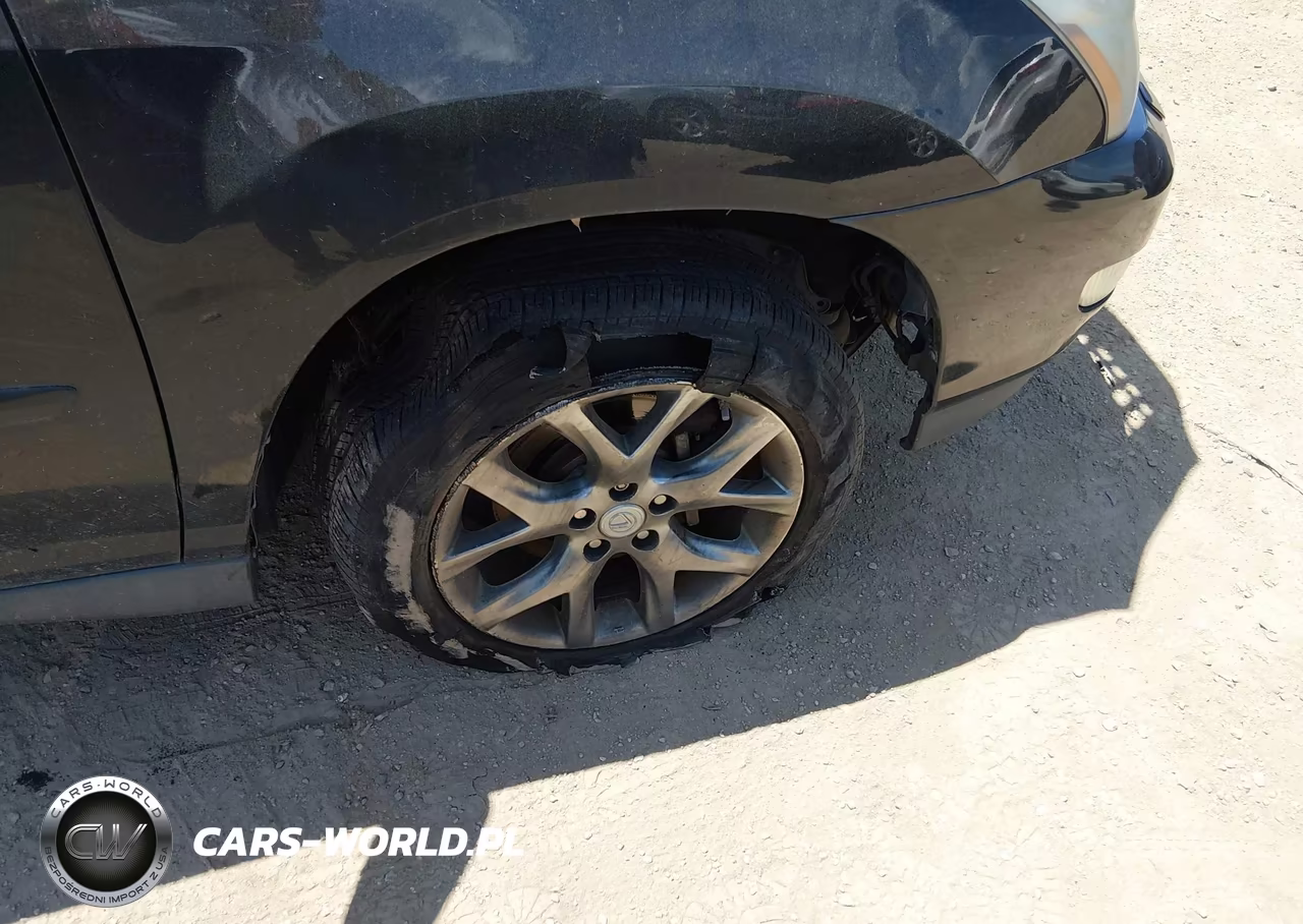 2009 Lexus Rx 350 VIN:2T2HK31U69C099857 - 6
