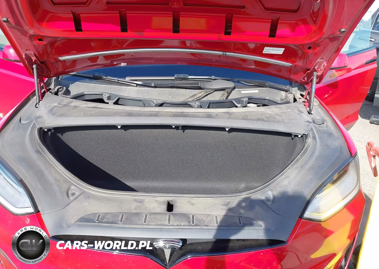 2023 Tesla Model X Dual Motor All-Wheel Drive-Standard Range VIN:7SAXCAE51PF380223 - 10