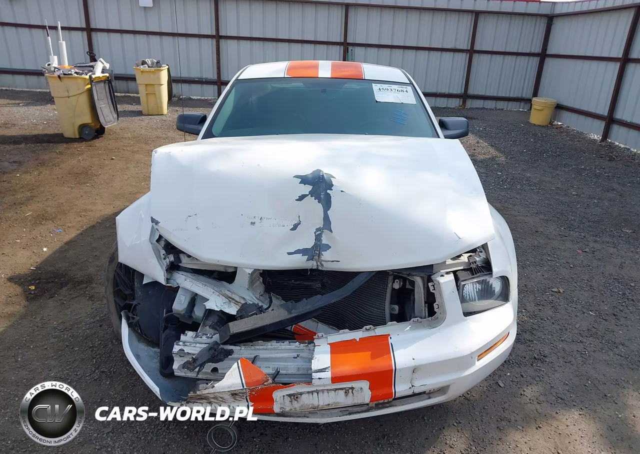 2007 Ford Mustang V6 Deluxe-V6 Premium VIN:1ZVHT80N475359818 - 12
