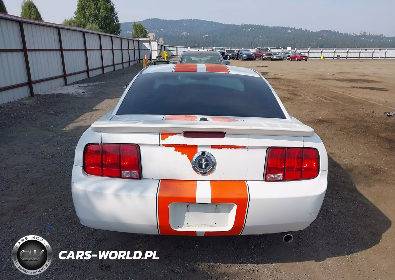 2007 Ford Mustang V6 Deluxe-V6 Premium VIN:1ZVHT80N475359818 - 16