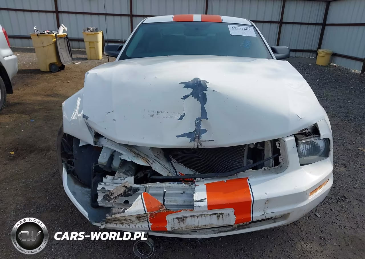 2007 Ford Mustang V6 Deluxe-V6 Premium VIN:1ZVHT80N475359818 - 6