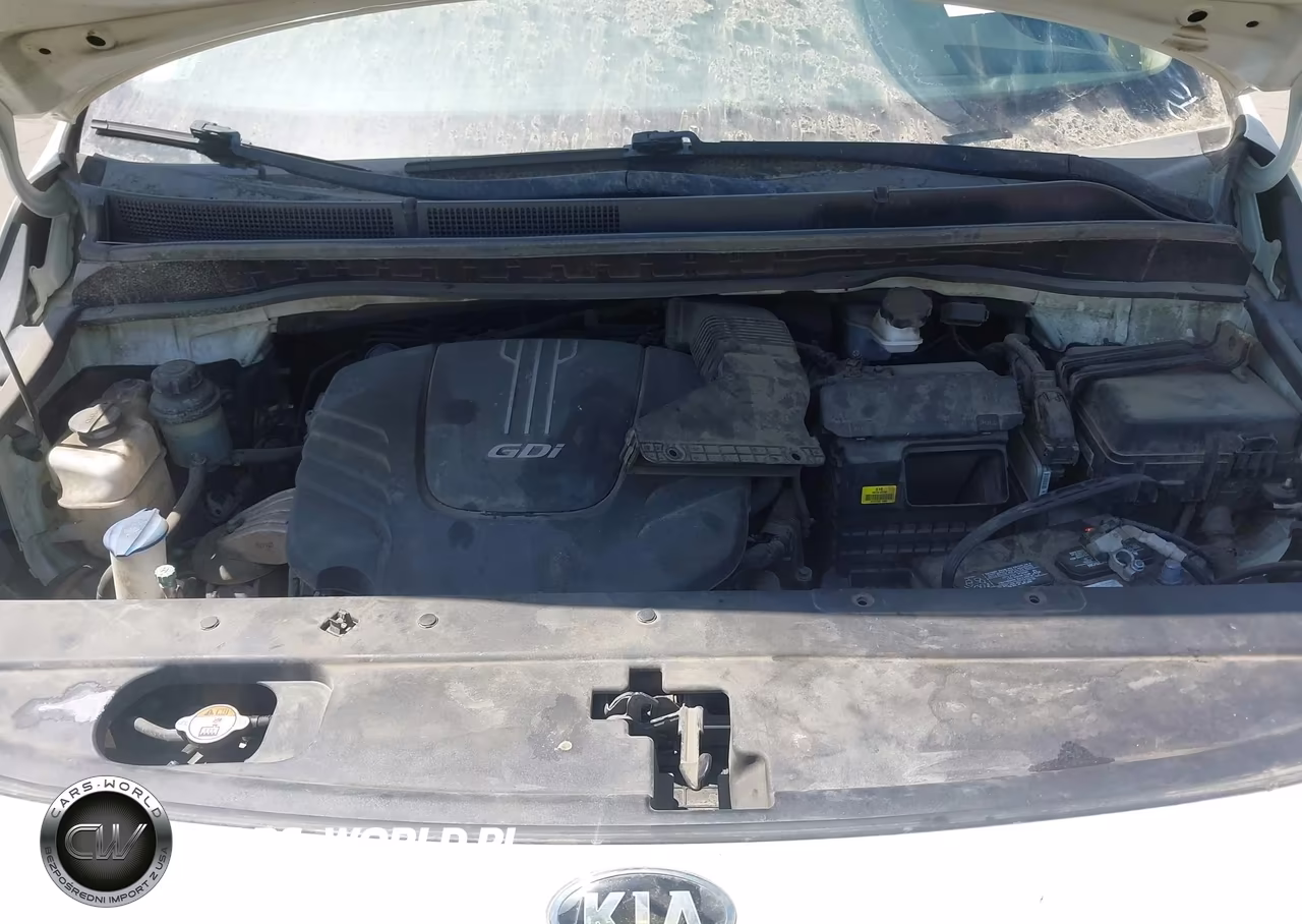 2016 Kia Sedona Lx VIN:KNDMB5C18G6183300 - 10