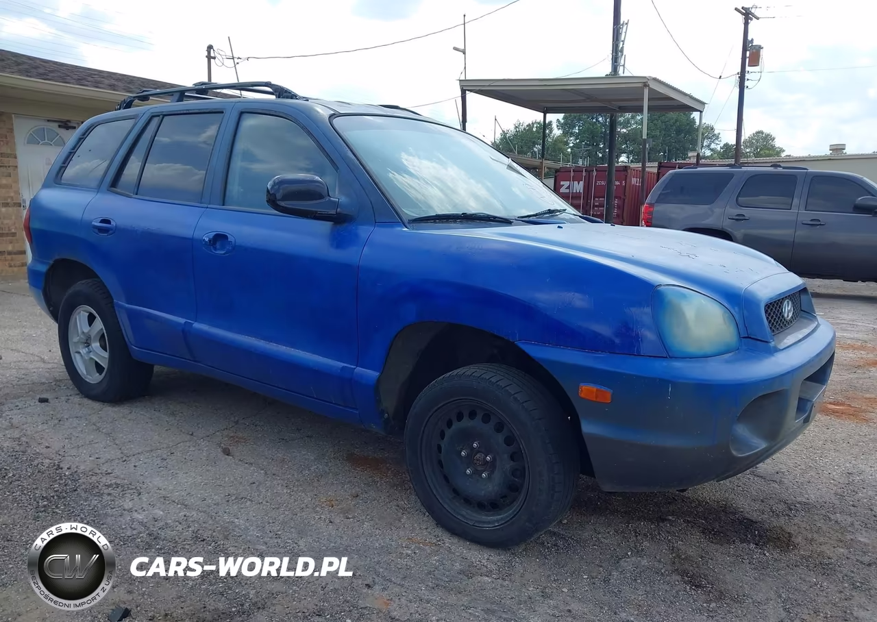 2004 Hyundai Santa Fe Gls VIN:KM8SC13D44U696506 - 1