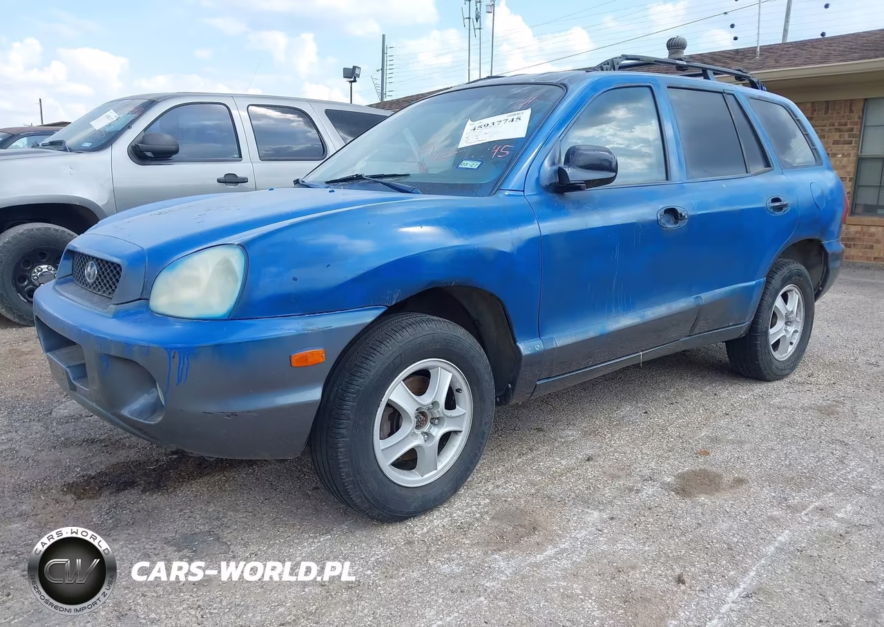 2004 Hyundai Santa Fe Gls VIN:KM8SC13D44U696506 - 2