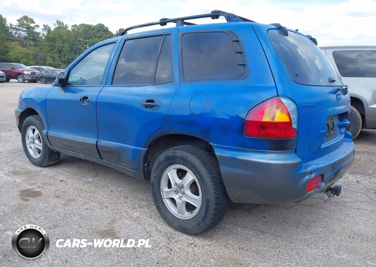 2004 Hyundai Santa Fe Gls VIN:KM8SC13D44U696506 - 3